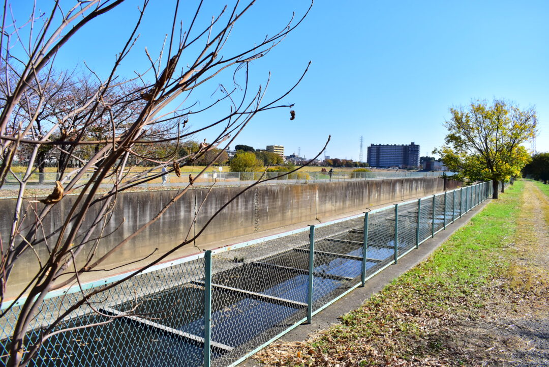 【上谷沼調節池(南浦和~川口)】藤右衛門川沿い 散歩・ピクニック!ザリガニ釣り・そり遊び・凧あげも さいファミ!