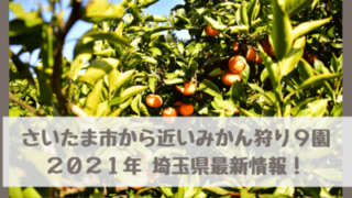 【さいたま市から近いみかん狩り9園】2021年最新情報!11月・12月が時期 食べ放題・予約は?埼玉県春日部市・三郷市も