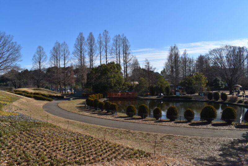大崎公園の景色