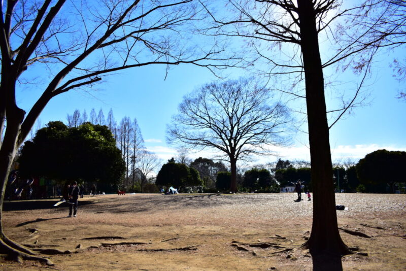 大崎公園の芝生広場