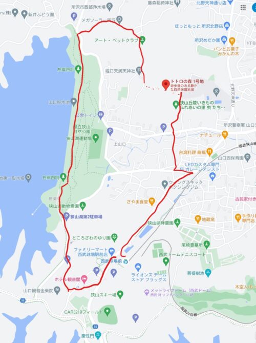 トトロの森 狭山湖ハイキング 所沢 子ども連れで森林浴 広大な湖 西武球場駅から全長5 のハイキングコース 注意事項あり さいファミ さいたま市ファミリーのためのwebメディア