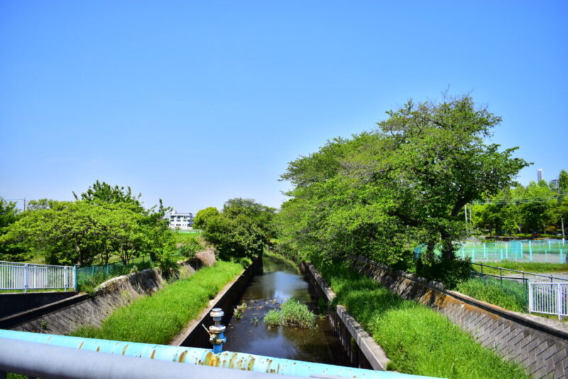 鴻沼川