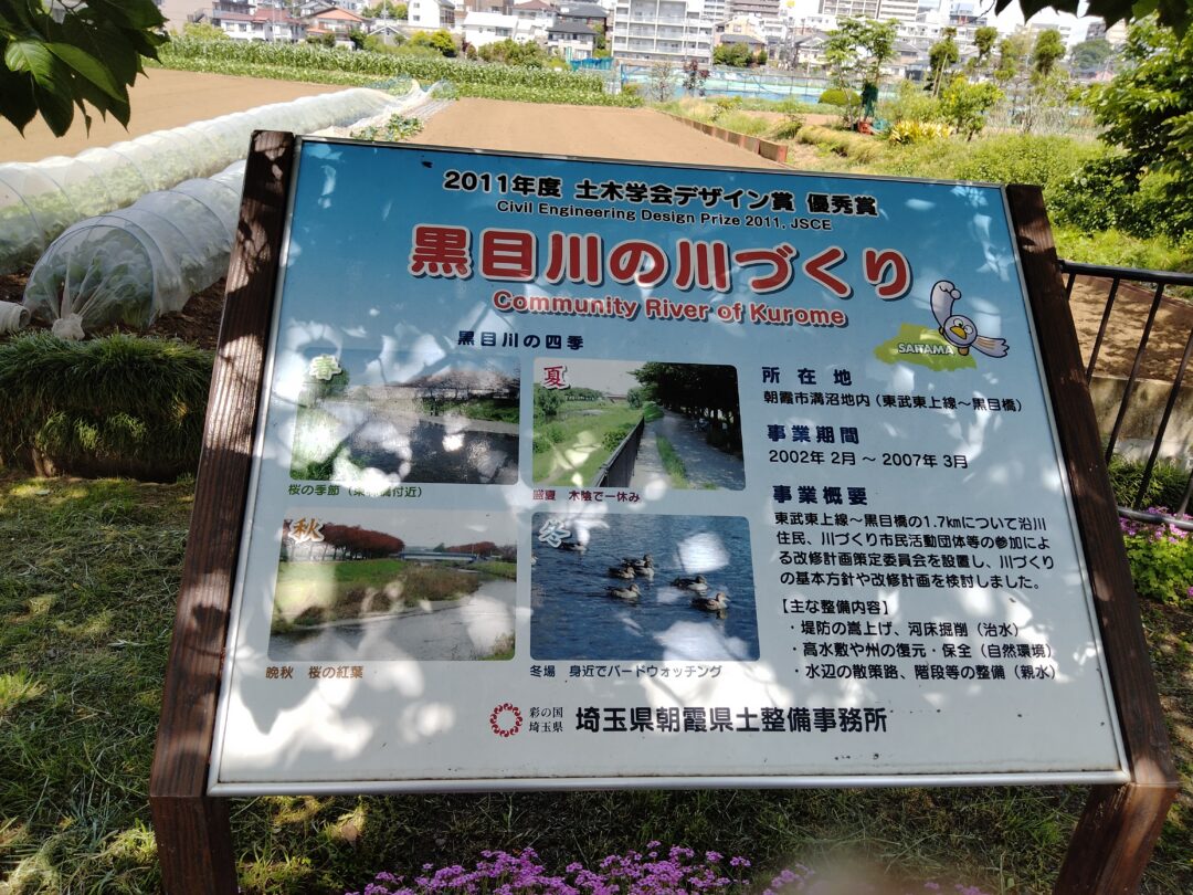 梅丽珊卓