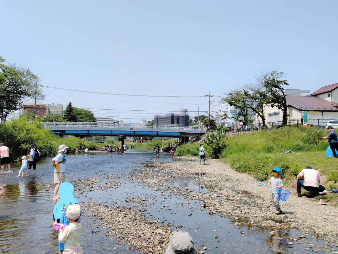 黒目川で川遊び！北朝霞駅から徒歩15分小魚が泳ぐ川で子どもも大人も本気の水遊び