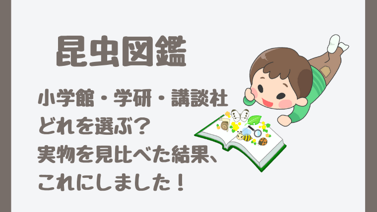 昆虫図鑑 小学館 学研 講談社どれを選ぶ 実物を見比べた結果 これにしました 幼児にもおすすめ さいファミ さいたま市ファミリーのためのwebメディア