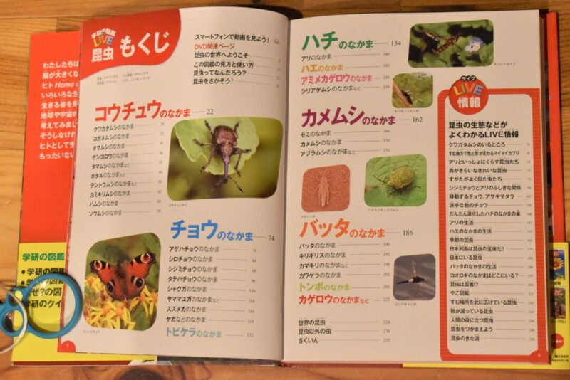 学研の昆虫図鑑