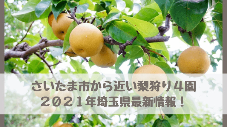 さいたま市から近い梨狩り4園 21年埼玉県最新情報 お隣春日部は梨栽培が盛ん さいファミ さいたま市ファミリーのためのwebメディア