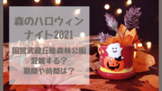 森のハロウィンナイト2021は混雑する?埼玉・国営武蔵森林公園のライトアップ&イルミネーション!期間や時間も調べました