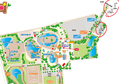 しらこばと水上公園の釣り21 22 えさ釣りは廃止に 料金 アクセス 駐車場 バス 放流日は さいファミ さいたま市ファミリーのためのwebメディア