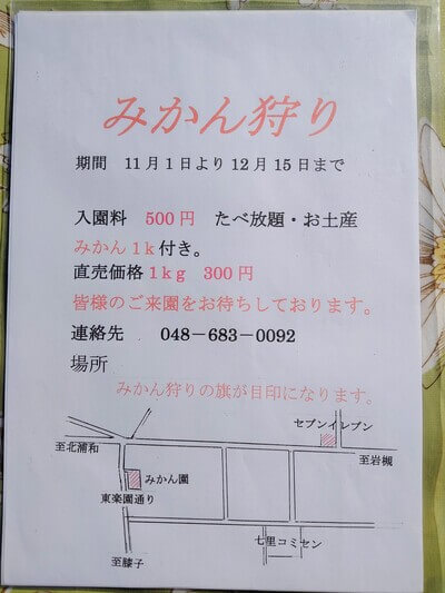 昼間みかん園のみかん狩り