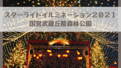 スターライトイルミネーション2021は混雑する？国営武蔵森林公園(埼玉)のクリスマスライトアップ 期間や時間は？