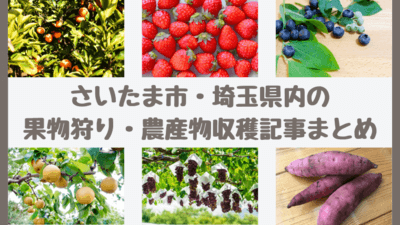 【さいたま市・埼玉県内の果物狩り・農産物収穫記事まとめ】春夏秋冬・何月に体験できる？美味しい直売所情報も
