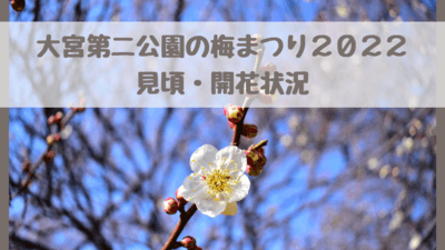 大宮第二公園梅まつり22は中止 見頃や開花状況も さいファミ さいたま市ファミリーのためのwebメディア