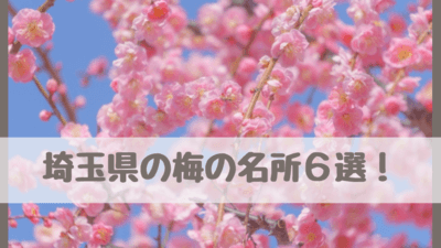 埼玉県の梅林 梅の名所おすすめ6選 梅まつり22は ファミリーで楽しめる情報も さいファミ さいたま市ファミリーのためのwebメディア