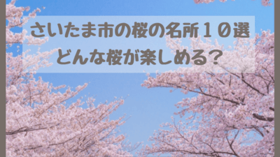 さいたま市の桜の名所10選 おすすめお花見スポット 公園ではどんな桜が楽しめる さいファミ さいたま市ファミリーのためのwebメディア