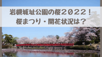 岩槻城址公園桜まつり22 開花情報 見頃 ライトアップ 屋台 駐車場情報も さいファミ さいたま市ファミリーのためのwebメディア