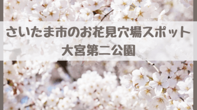 大宮第二公園は桜の穴場 22の見頃や開花状況は さいたま市のお花見スポット さいファミ さいたま市ファミリーのためのwebメディア