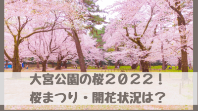 大宮公園桜まつり22 開花状況地元速報 見頃 屋台 ライトアップ 駐車場情報も さいファミ さいたま市ファミリーのためのwebメディア