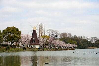 浮間公園の風車と池