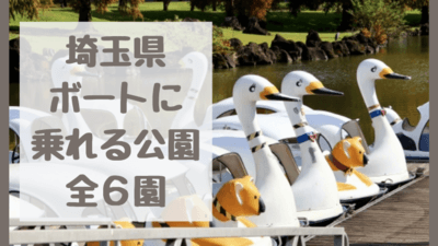 【埼玉県ボート・カヌーに乗れる公園全６園2024】スワンボート・子どもと鯉にえさをあげられる公園も！