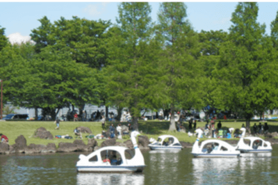 加須はなさき水上公園のボート