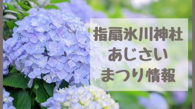 指扇氷川神社の紫陽花 あじさい 22指扇アジサイまつり開催 駐車場 アクセス 開花状況 見頃は さいたま市西区 さいファミ さいたま市ファミリーのためのwebメディア