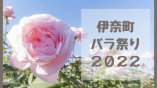 伊奈町バラ祭り2022・バラ園の開花状況・見頃！ライブカメラ・入園料・行き方・駐車場は？