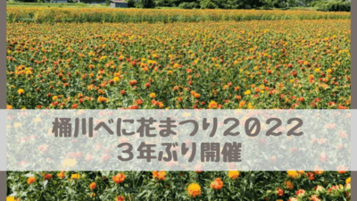 桶川べに花まつり22 紅花の開花状況 見頃は 駐車場 シャトルバスも さいファミ さいたま市ファミリーのためのwebメディア 桶川べに花まつり22 紅花の開花状況 見頃は 駐車場 シャトルバスも さいファミ さいたま市ファミリーのためのwebメディア