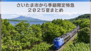 【2025年夏】さいたま市・大宮浦和からの直通特急まとめ