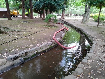 別所沼公園の水遊び・流れ