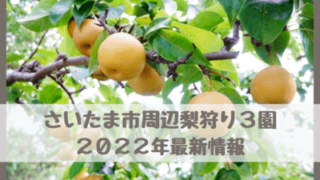 【さいたま市周辺梨狩り3園】2022年埼玉県最新情報！時期・食べ放題できる園は？