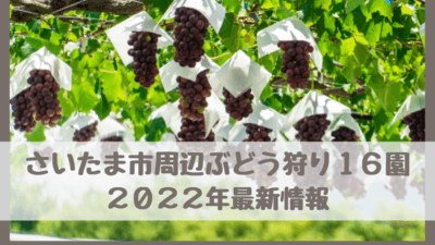 【さいたま市周辺ぶどう狩り16園】2022年埼玉県最新！食べ放題・時期・予約なし・おすすめは？