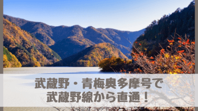 武蔵野・青梅奥多摩号2022の時刻表・停車駅・予約・料金は？大自然を楽しむ！