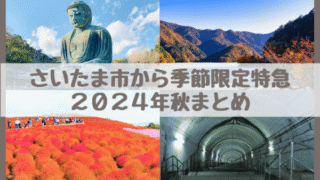 【2024年秋】さいたま市・大宮浦和からの直通特急まとめ