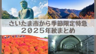 【2025年秋】さいたま市・大宮浦和からの直通特急まとめ