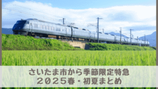 【2025年春・初夏】さいたま市・大宮浦和からの直通特急まとめ