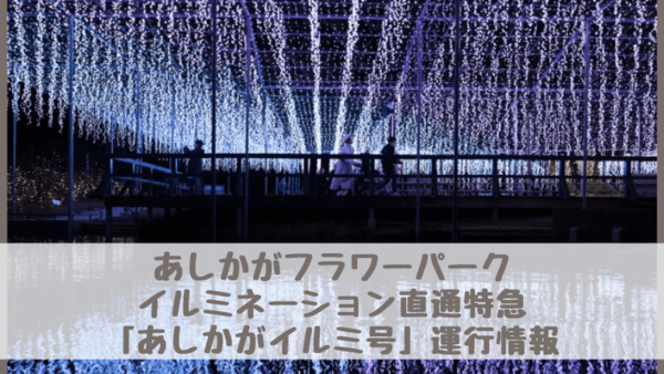 あしかがイルミ号(大船・新宿)2024の時刻表・停車駅・予約・料金は？あしかがフラワーパークでイルミネーション