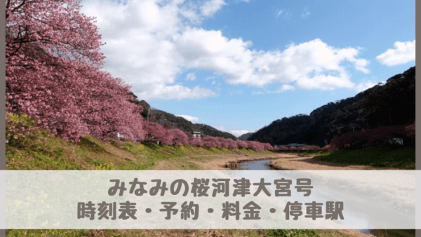 みなみの桜河津大宮号2025の時刻表・停車駅・予約・料金は？